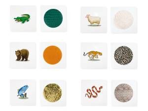 Senzorične plošče - živalski potiski